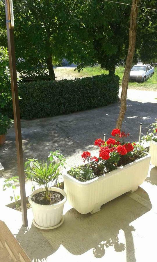 Apartman Danijela Zagorje Ngoại thất bức ảnh